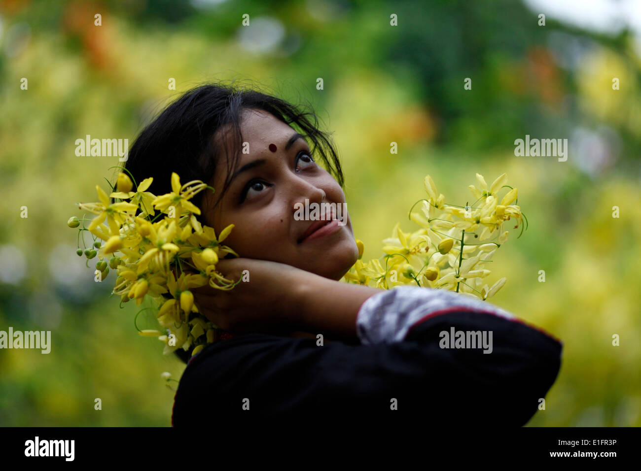 Dhaka, Bangladesh, le 05 mai 2014 ; les Bangladaises et fleurs d'été en été.Pendant la saison estivale de nombreuses sortes de fleurs bloom nommé (Krishnachura Sonalu,Delonix regia) Fleur (Cassia fistula),Moulmein, Rosewood (Millettia Peguensis),Crape Myrtle Tropicaux (Lagerstroemia Trubinata) etc. Banque D'Images