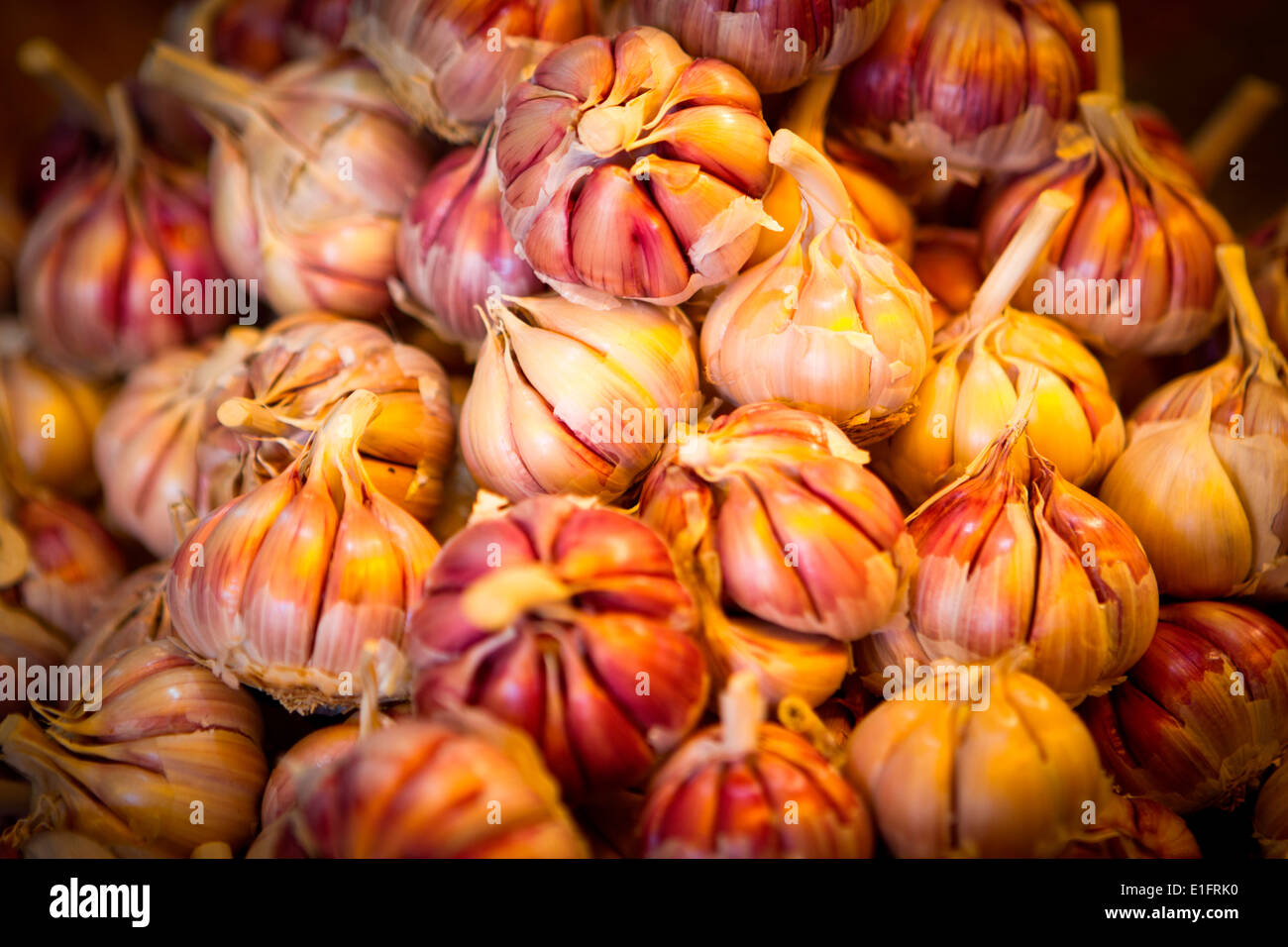 Les couleurs de l'image de l'ail pour la vente au marché local dans l'ancienne Médina, Casablanca, Maroc. Banque D'Images