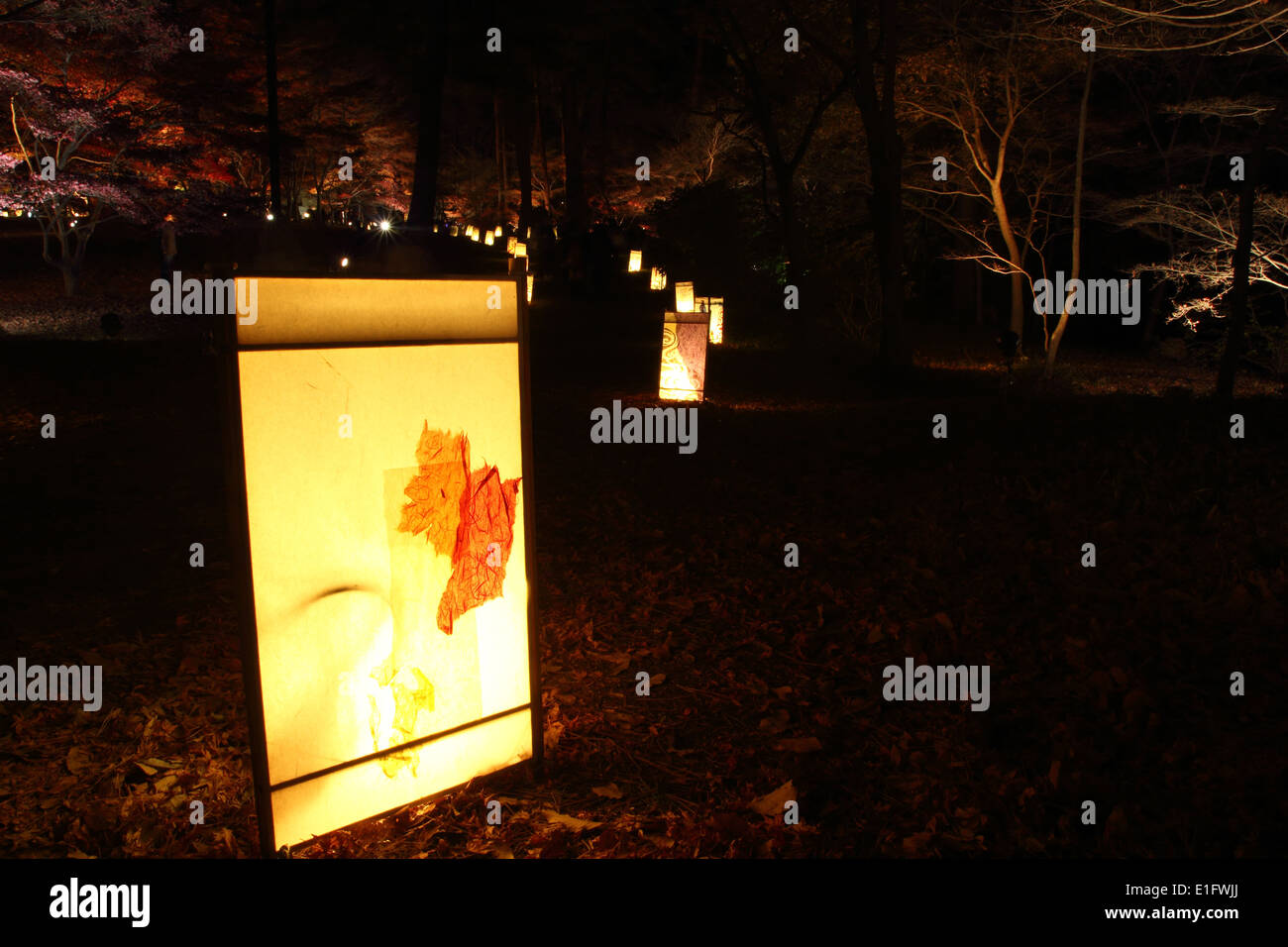 Lanterne japonaise dans le parc le soir Banque D'Images