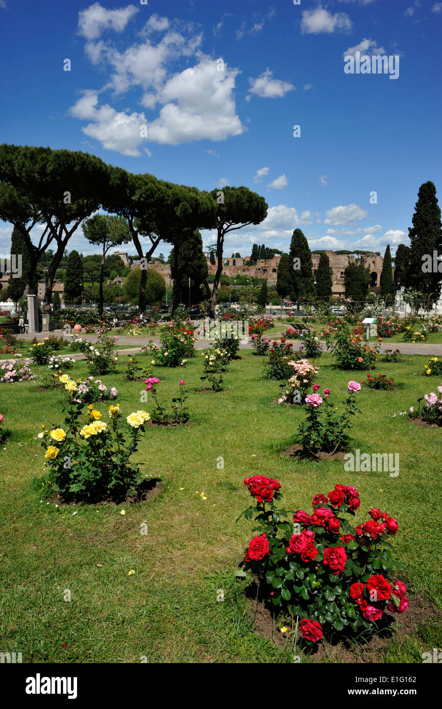 Italie, Rome, l'Aventino, Rocca comunale, municipal rose garden Banque D'Images