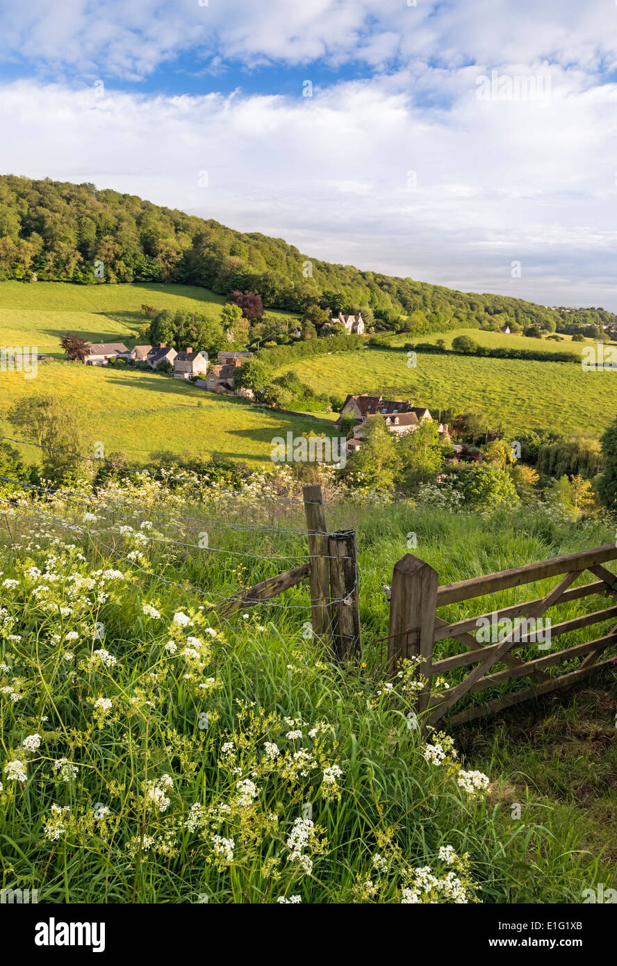 Vue sur la vallée de Slad, Stroud, Gloucestershire, en été Banque D'Images