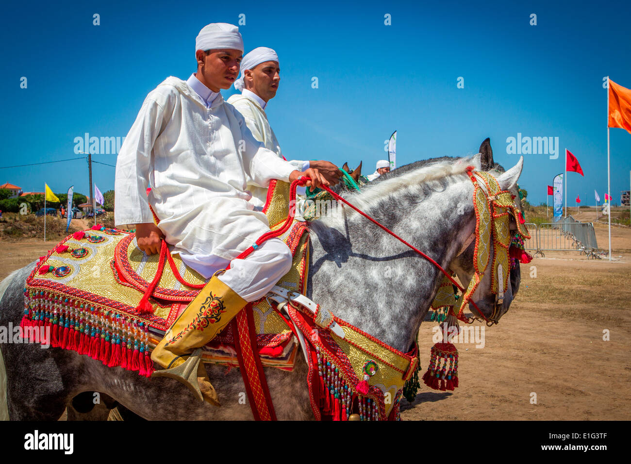 Détail de l'arabe à la décoration traditionnelle de chevaux Barb fantasia près de Rabat au Maroc. Banque D'Images