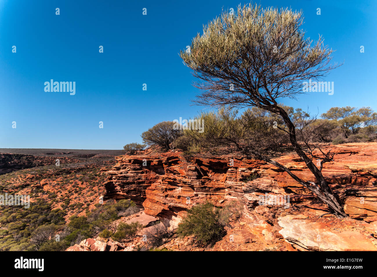 Parc national de KALBARRI, NATURE'S LA FENÊTRE, MURCHISON RIVER, AUSTRALIE OCCIDENTALE Banque D'Images