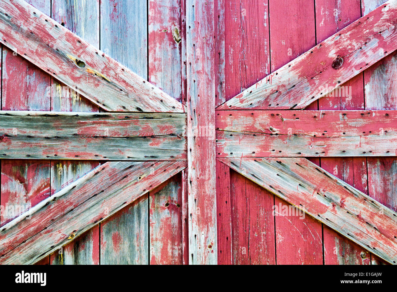 Close up de porte de grange avec bois et peinture usée Banque D'Images