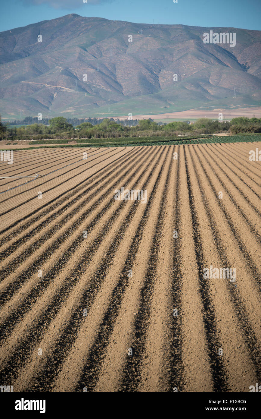 vallee de salinas banque d image et photos alamy