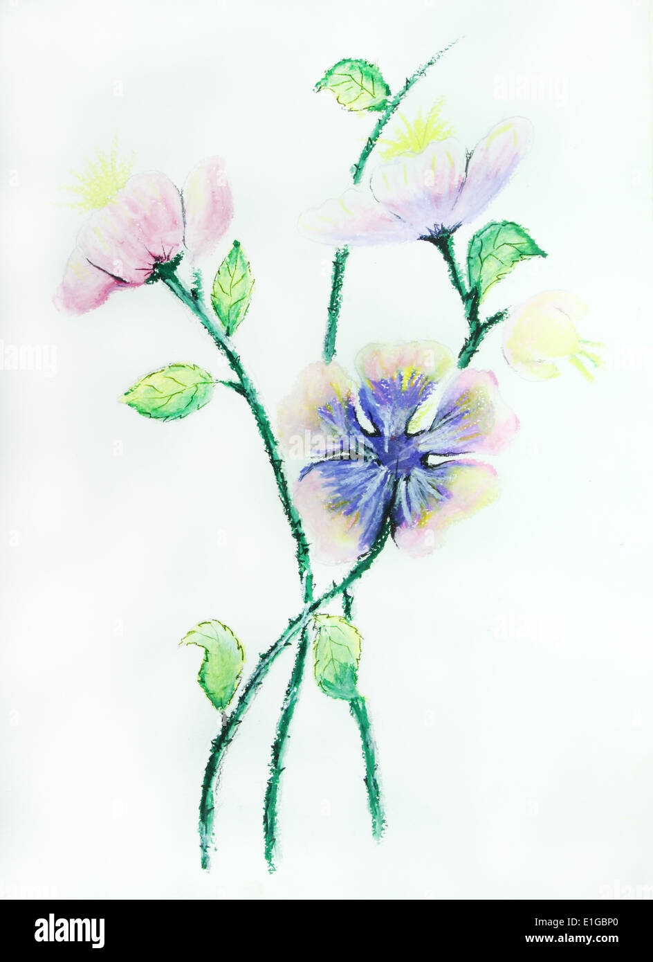 Belle fleur fond peinture Banque D'Images
