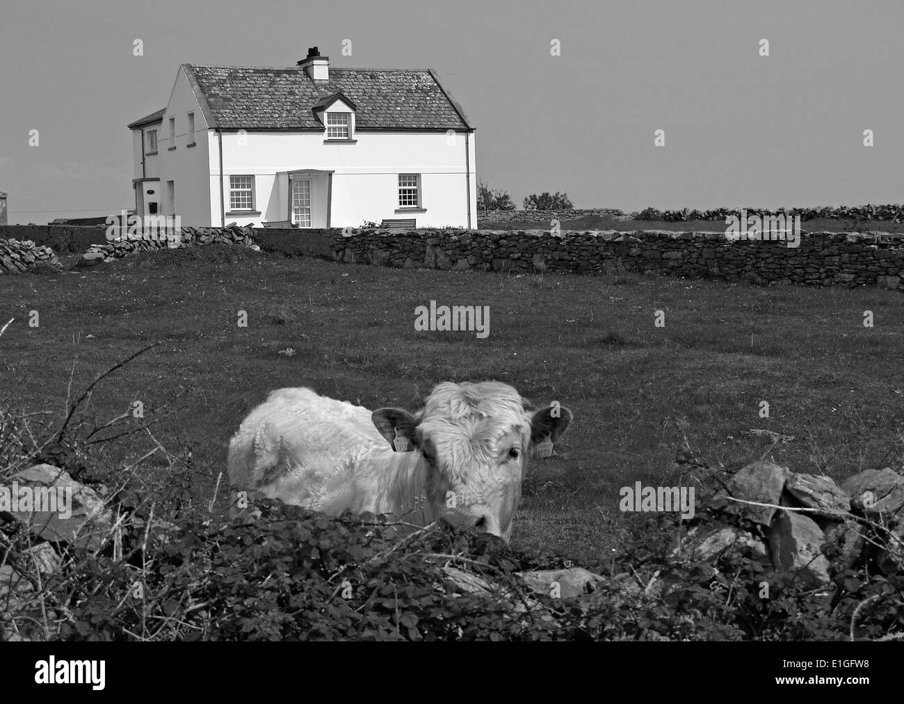 Un cottage dans le Kilronan,Îles d'Aran, Irlande Banque D'Images