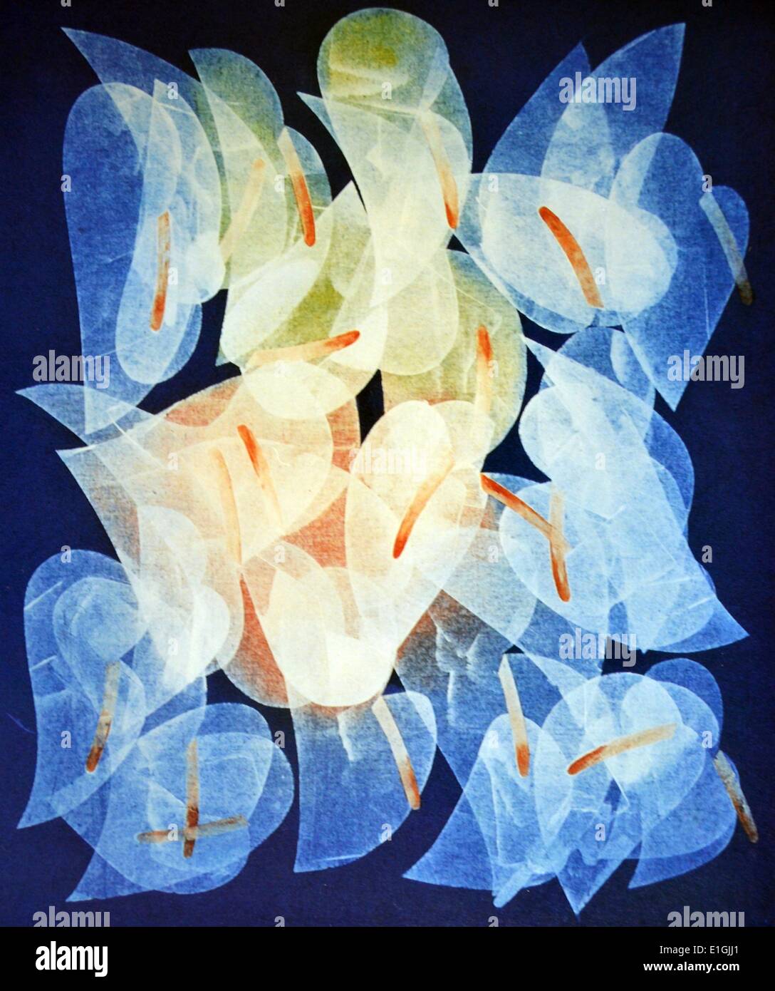 Romulo Olazo, Anthurium - # 3, 1995 diaphanes, huile sur toile. Banque D'Images