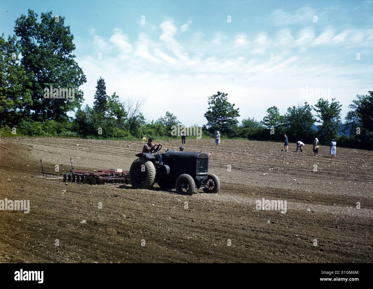 Photographie d'une ferme appartenant à James Pompey Southington, Connecticut. Les gens de finnois, slaves, allemand, polonais et l'aider à l'extraction de la cultiver en 1942. Banque D'Images