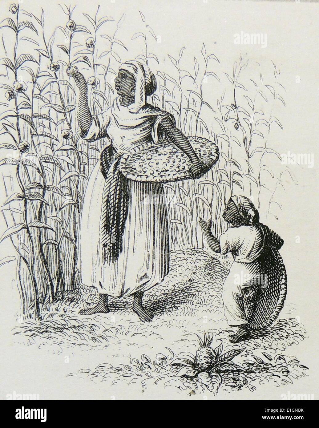 antille rencontre