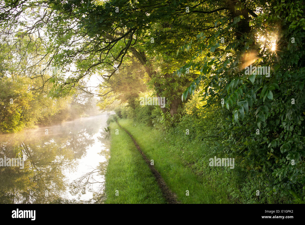La lumière du matin sur un chemin de halage du canal et dans la campagne anglaise. Oxfordshire, Angleterre Banque D'Images