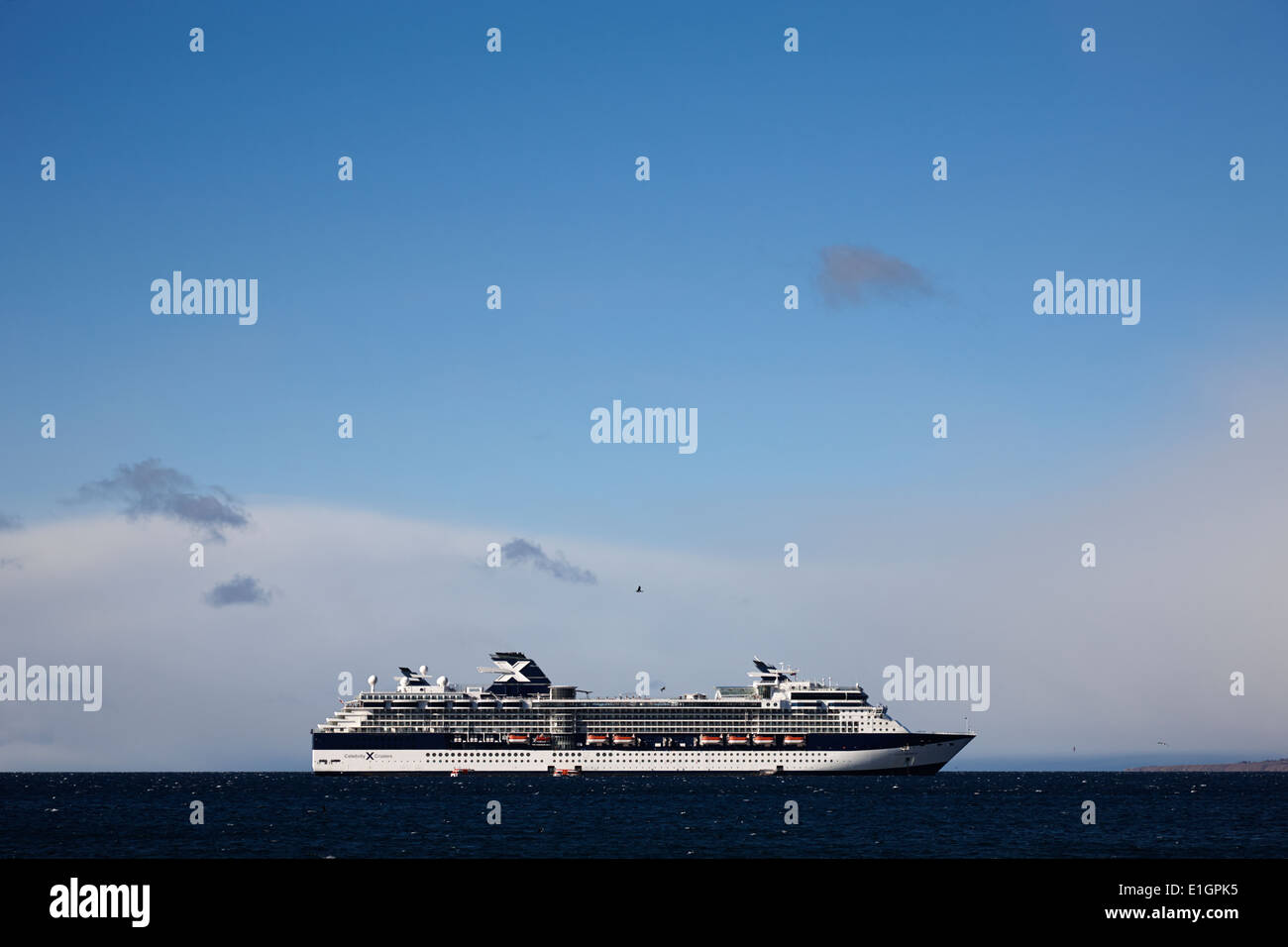 Les grands navires de croisière croisières Celebrity Infinity dans les eaux peu profondes au large de Punta Arenas Chili port Banque D'Images