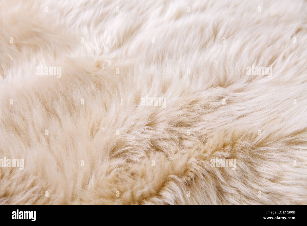 Close up texture de fond pour tapis de fourrure Banque D'Images