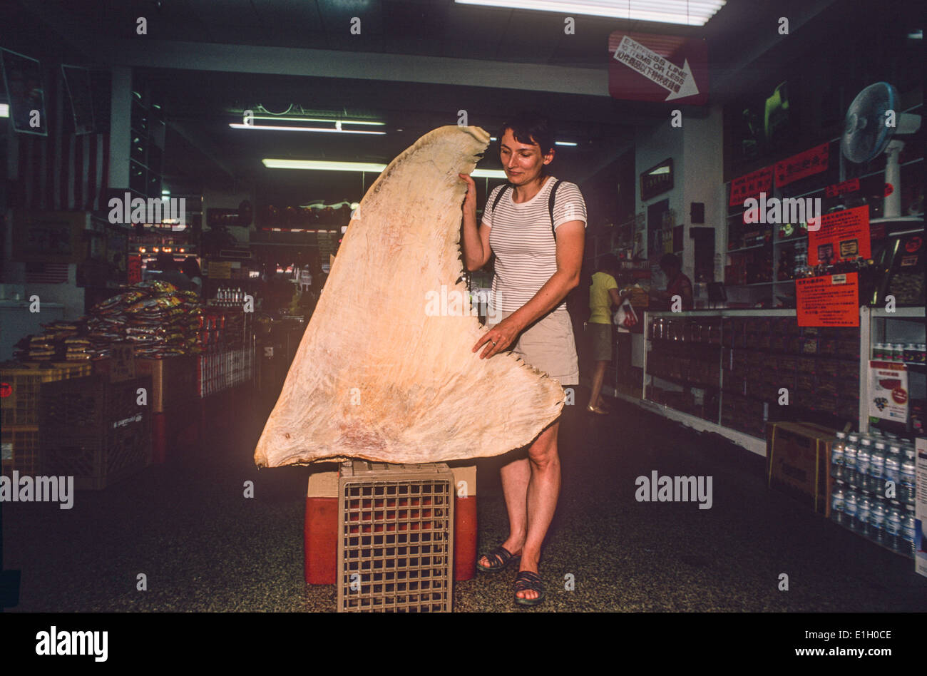 Nageoire dorsale de requin-baleine (Rhincodon typus), Chinatown, New York City. Banque D'Images