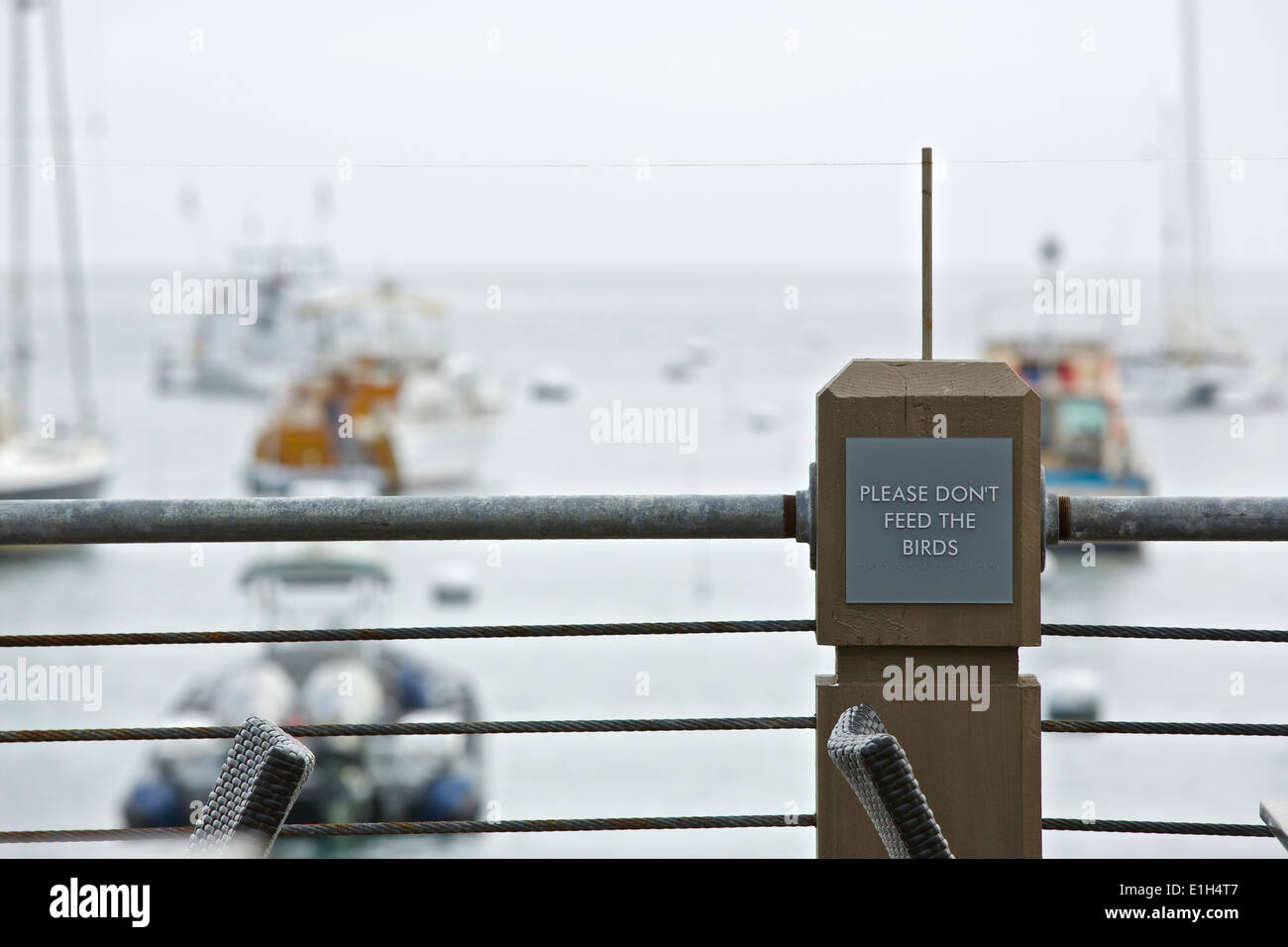 "Merci de ne pas nourrir les oiseaux', signe à un restaurant en bord de mer à Avalon, Santa Catalina Island, Californie. Banque D'Images