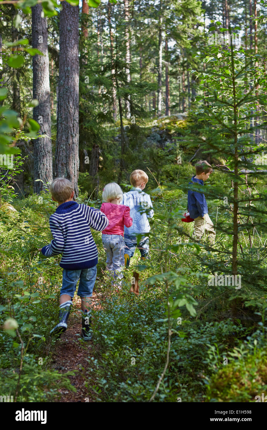Quatre jeunes enfants errant dans la forêt Banque D'Images