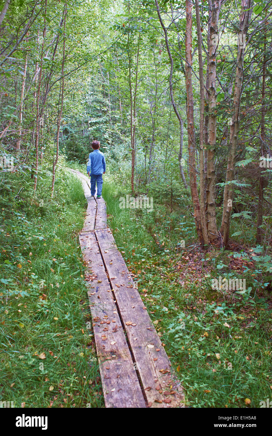 Jeune garçon explorant allée forestière Banque D'Images