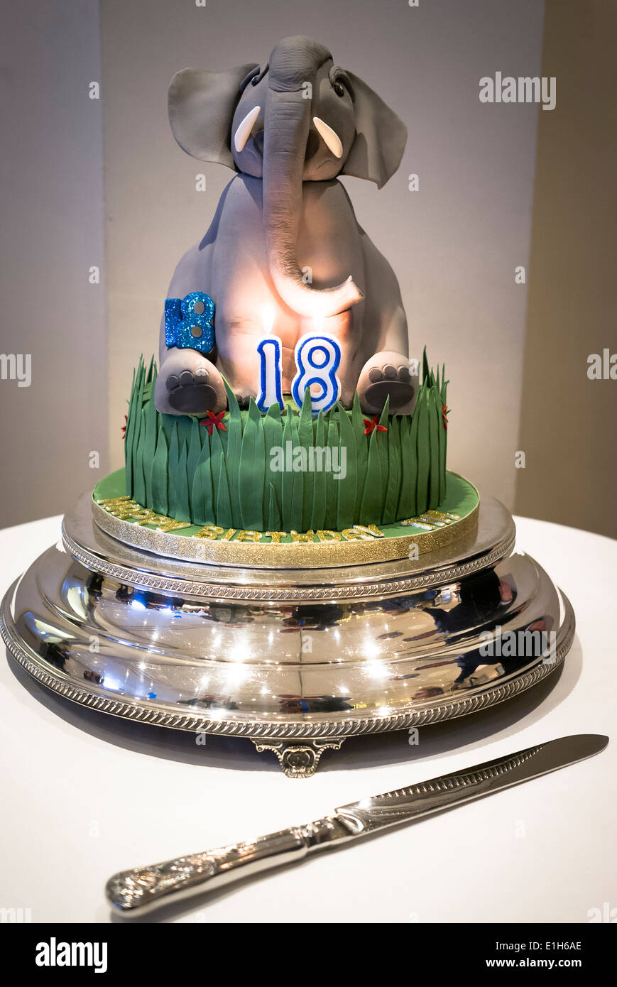 18e anniversaire à thème éléphant cadeau gâteau symbolisant l'argent versé pour sauver l'éléphant la charité Banque D'Images