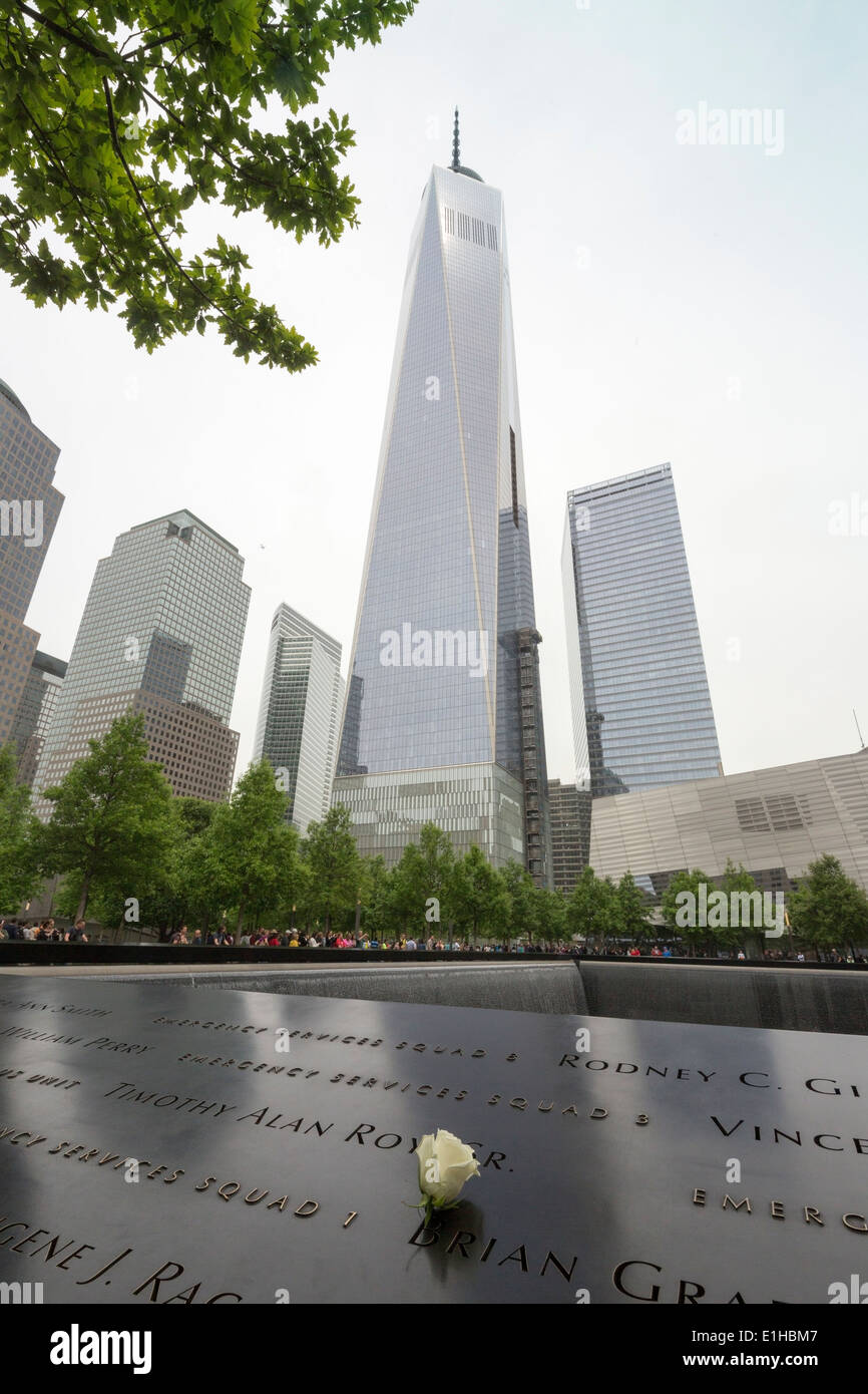 White Rose commémorative sur nom au Mémorial National du 11 septembre, la ville de New York, Manhattan, USA Banque D'Images