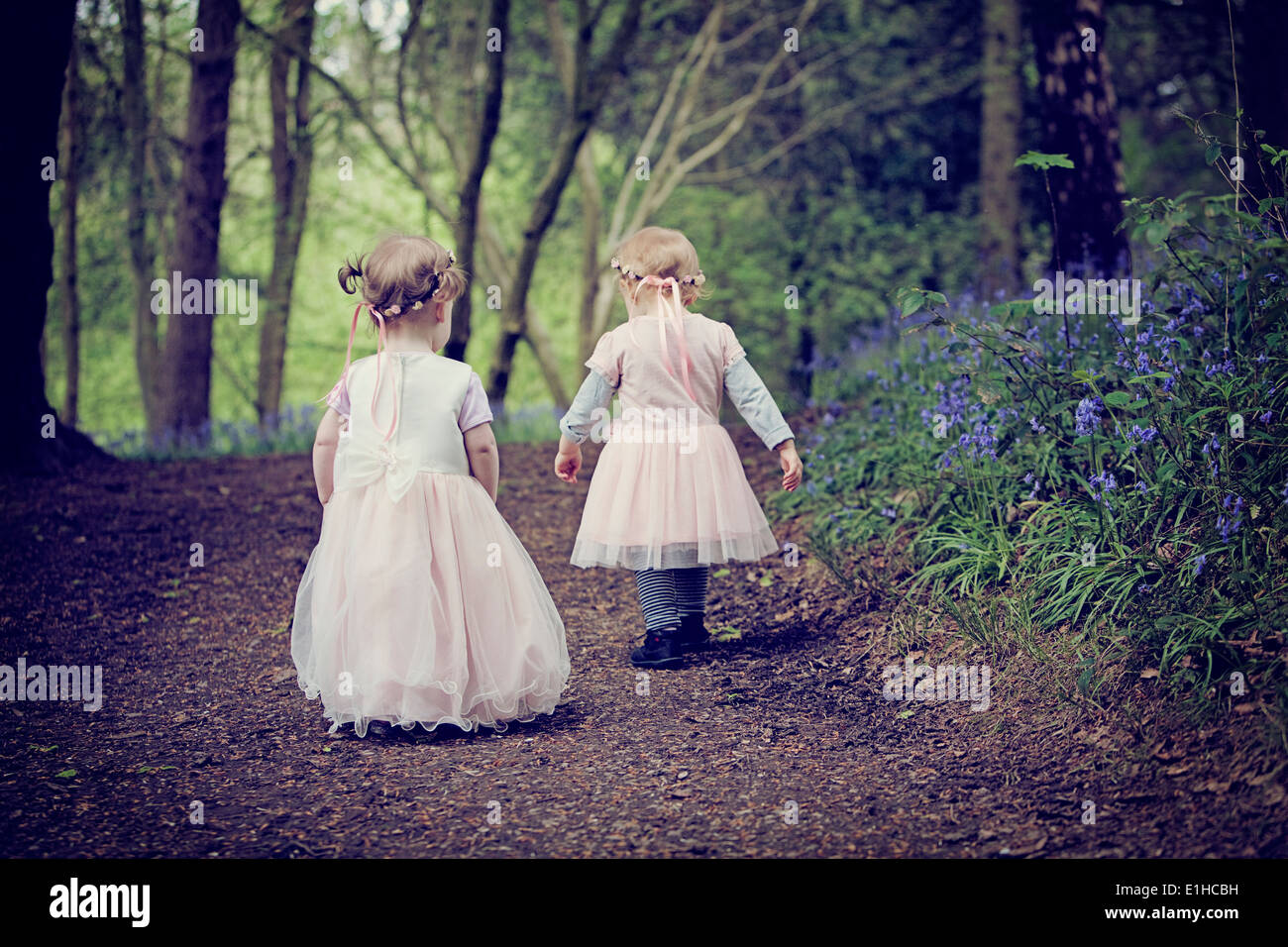 Deux jeunes enfants marcher dans un bois rempli de jacinthes en Angleterre. Banque D'Images