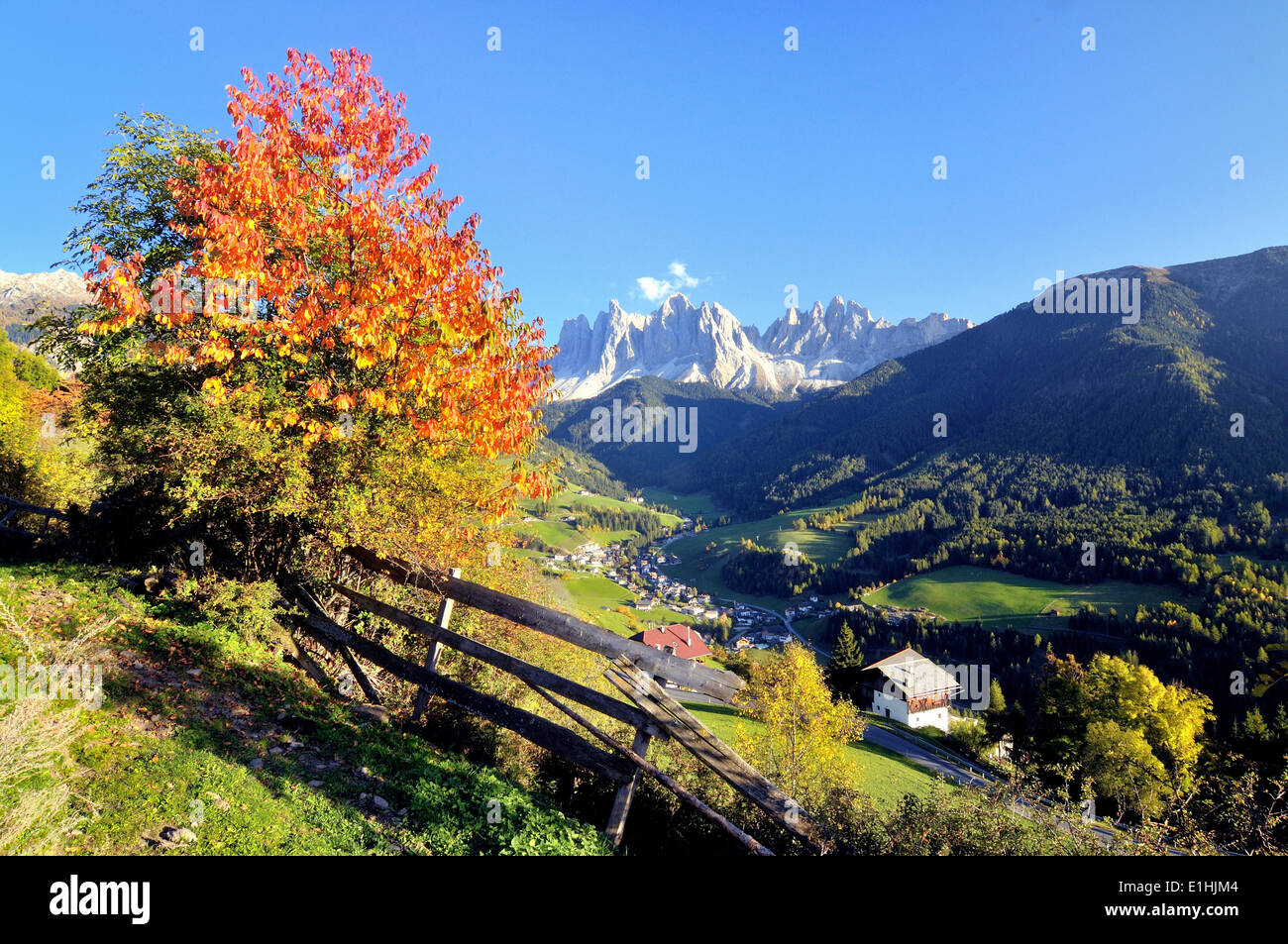 L'automne dans le Val di Funes vallée avec les Pics Geisler dans les Dolomites, Val di Funes, la province de Bolzano, région du Trentin Banque D'Images