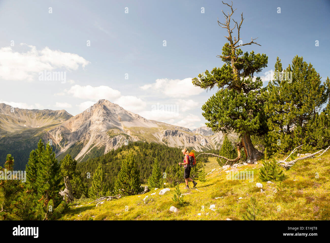 Femme randonnée, montée à la Fuorcla Funtana da S-charl, Piz Daint, Alp da Munt, Val Müstair, Parc National Suisse, Grisons Banque D'Images