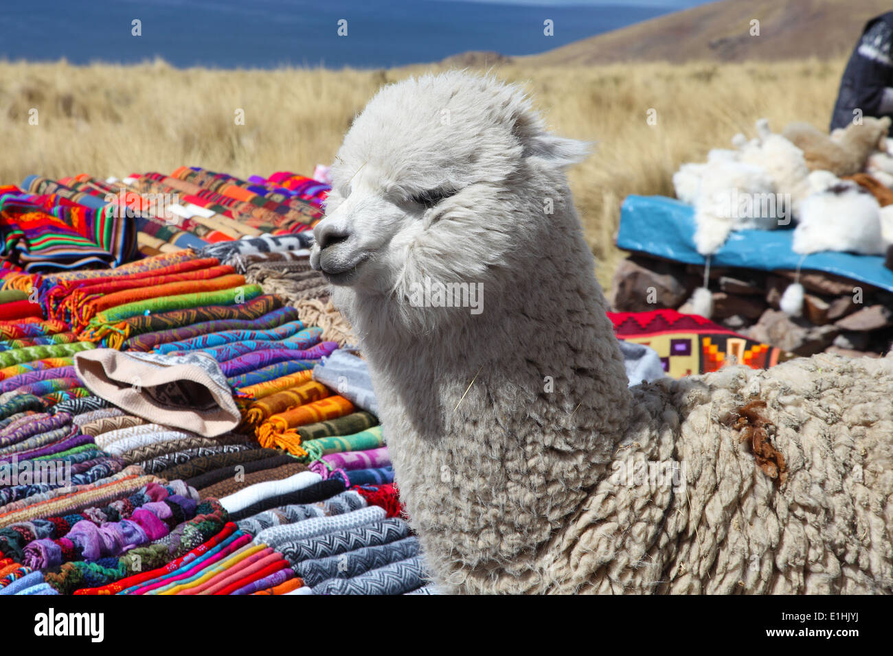 Vues de th route menant à Colca Canyon Banque D'Images