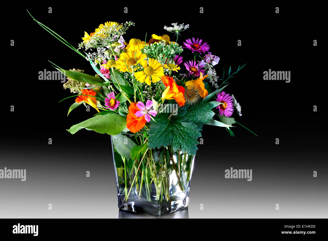 Bouquet coloré de fleurs sauvages dans un vase de verre Banque D'Images
