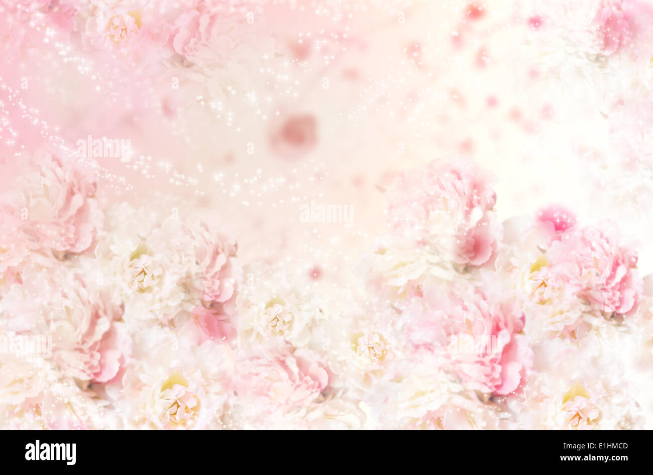 Roses rose transparente Floral Pattern. Arts décoratifs Arrière-plan. Fleurs Banque D'Images