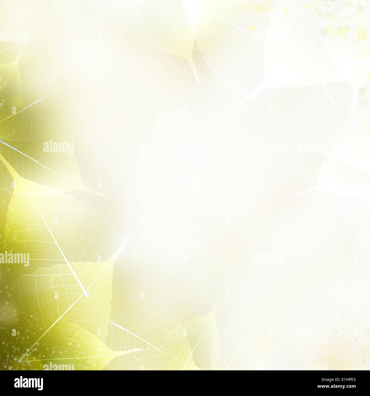 Art fond - belle nature avec des feuilles du châssis Banque D'Images