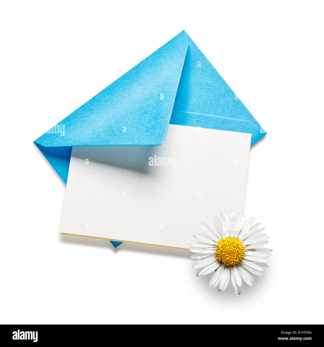 Enveloppe bleue avec carte et daisy flower isolated on white background Banque D'Images
