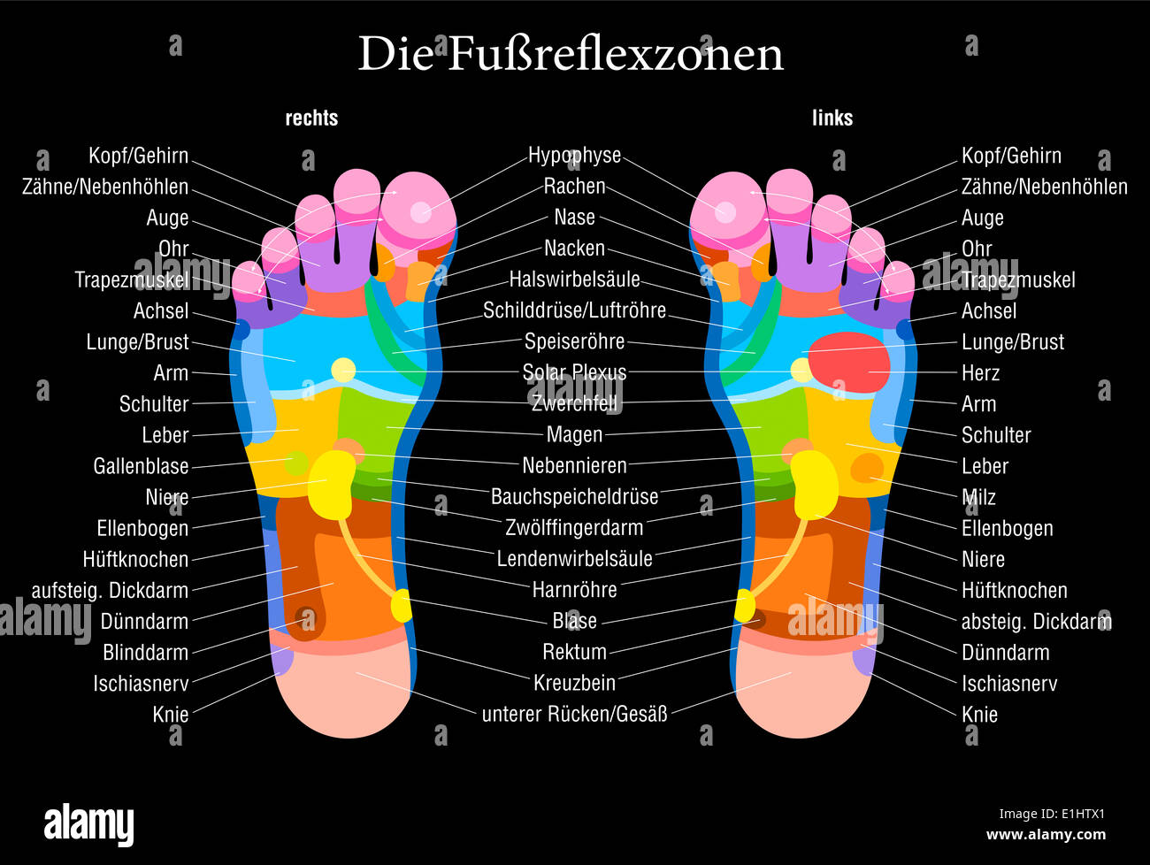 Réflexologie des pieds graphique avec description exacte (marquage en allemand !) des organes internes et les parties du corps. Banque D'Images