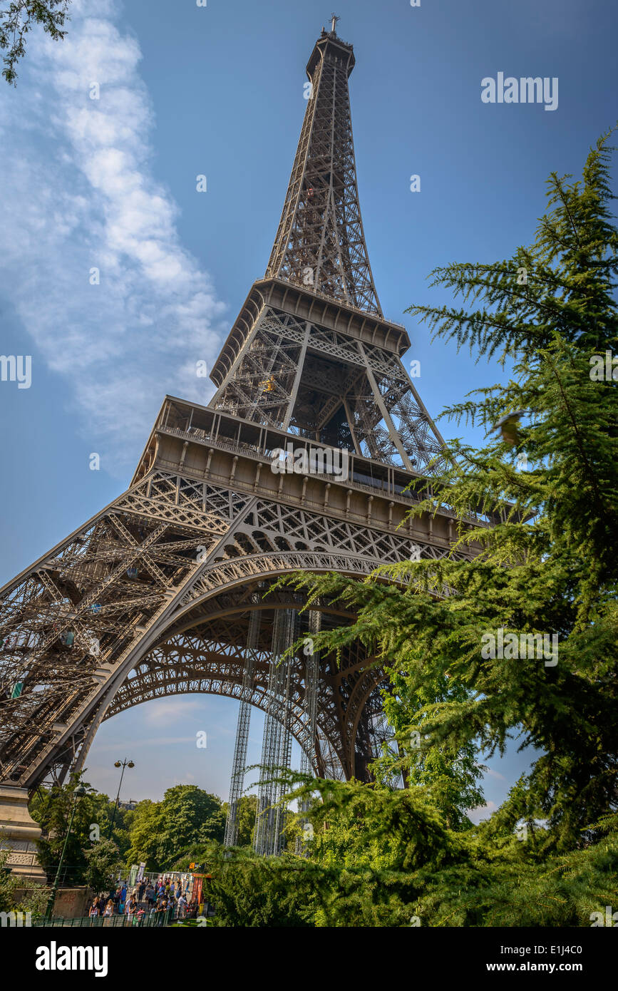 Vue sur la Tour Eiffel à travers quelques arbres dans un jour clair d'été à Paris, France Banque D'Images