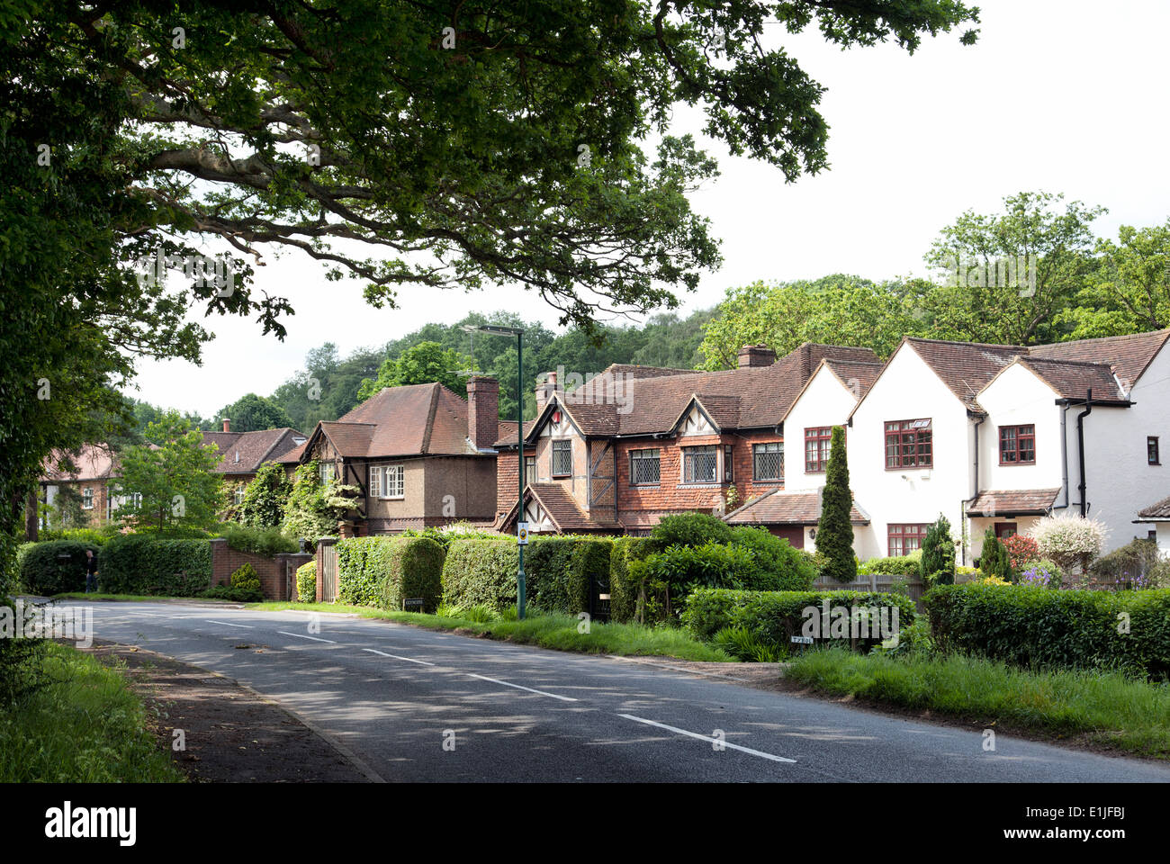 Maisons en bordure de route à Stoke D'Abernon - Surrey, Angleterre Banque D'Images