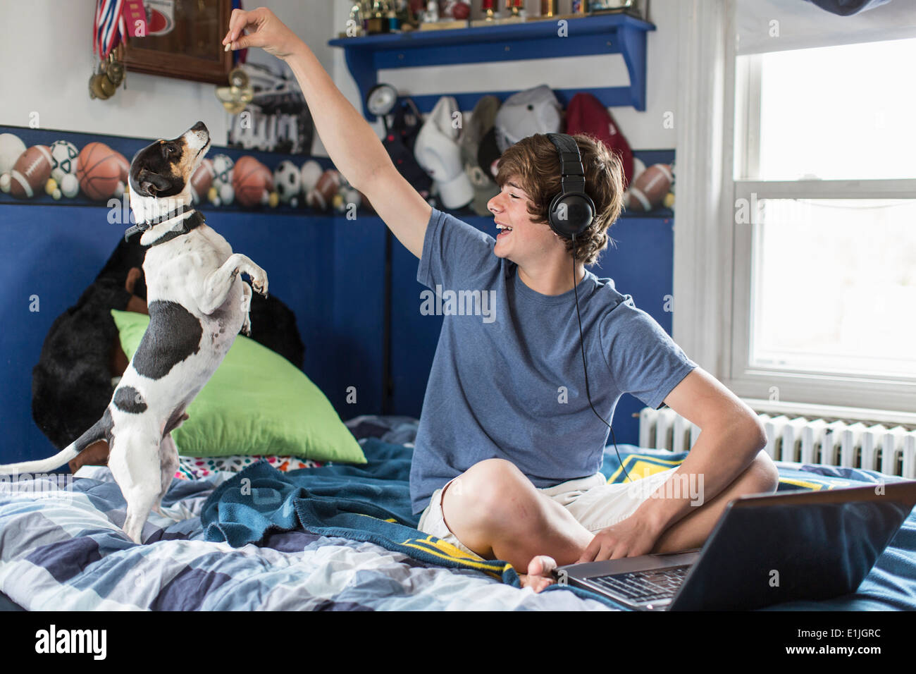 Teenage boy sitting on bed with laptop computer, Playing with dog Banque D'Images