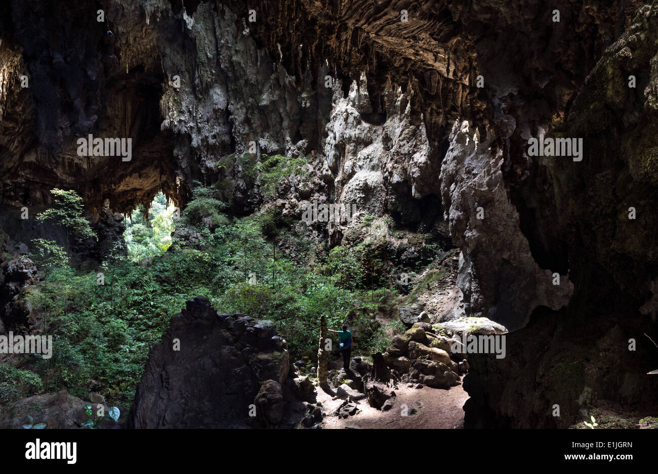 Système de grottes dans la Forêt Tropicale Atlantique Banque D'Images