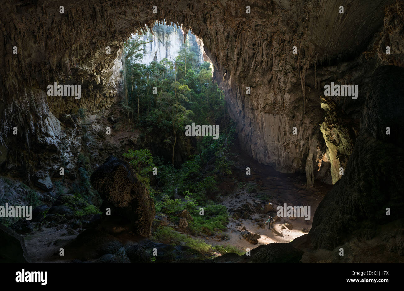 Grande Grotte nommé dans Temimina la Forêt Tropicale Atlantique au sud de São Paulo Banque D'Images