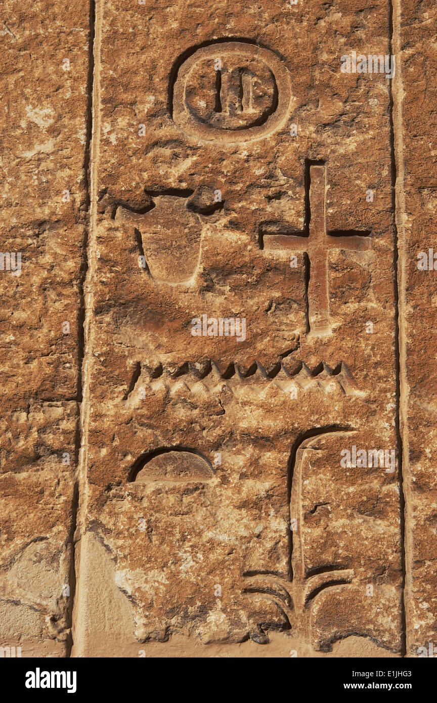 L'art égyptien de la Nécropole de Saqqara. Hiéroglyphes dans un mastaba. Le soulagement. Vieux Royaume. L'Égypte. Banque D'Images