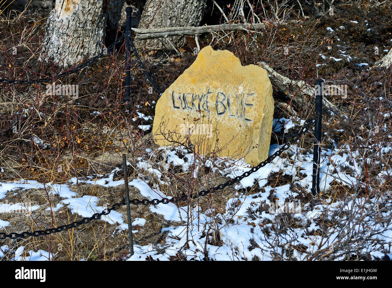 Une pierre tombale en pierre dans un cimetière pour animaux domestiques rurales dans l'ouest de l'Alberta Canada Banque D'Images