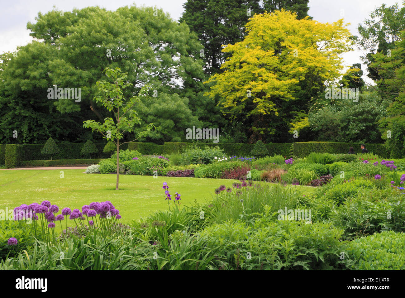 Royaume-uni, Angleterre, Londres, Regent's Park, jardin, Banque D'Images