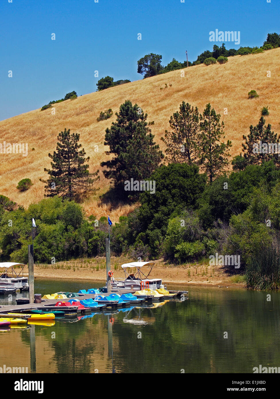 Marina du Parc Régional du lac Chabot Californie Banque D'Images