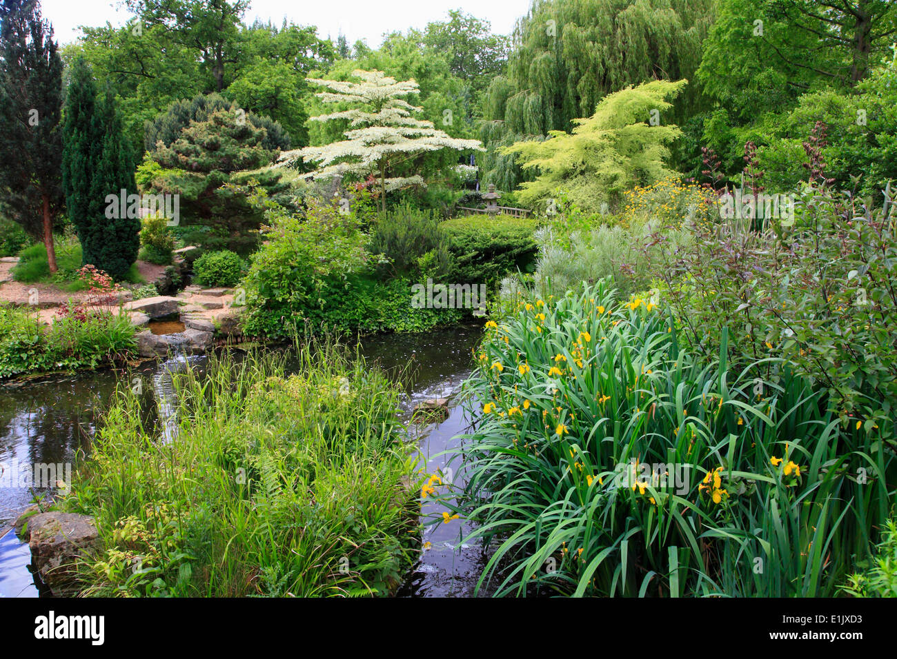 Royaume-uni, Angleterre, Londres, Regent's Park, jardin, Banque D'Images