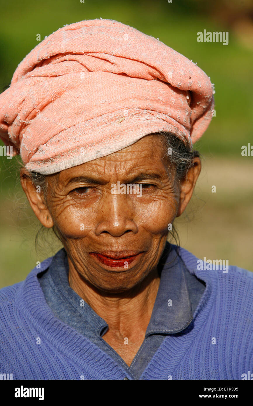 Vieux fermier Banque D'Images