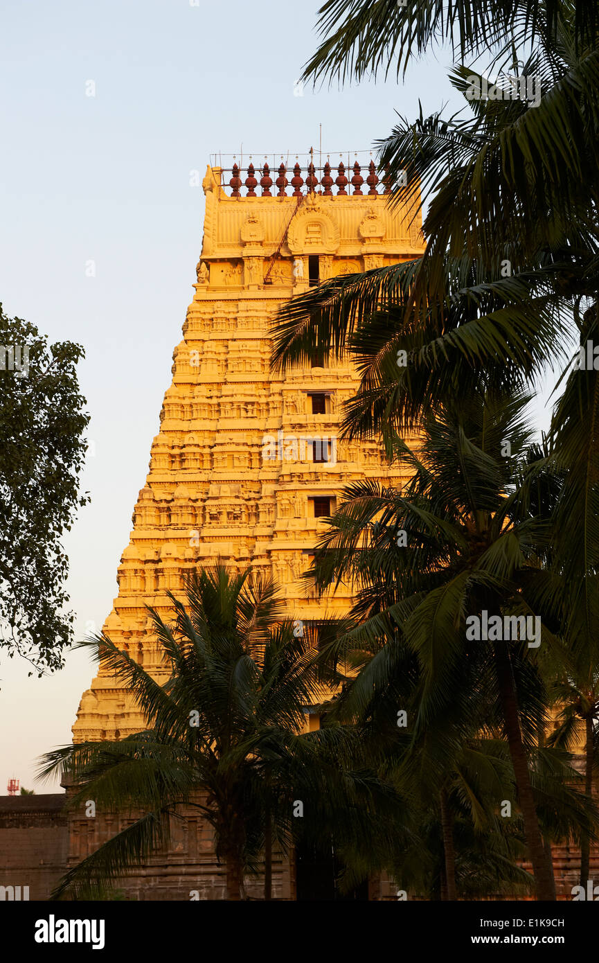 L'Inde, le Tamil Nadu, Kanchipuram, temple Devarajaswami Banque D'Images