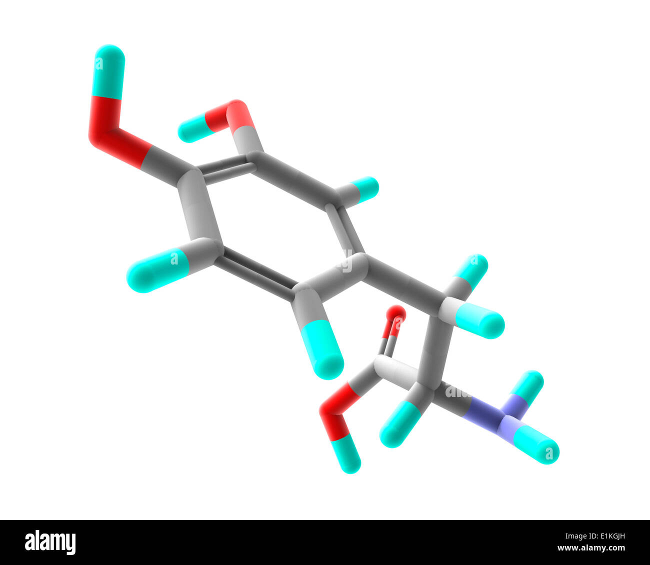 La lévodopa (L-DOPA) Parkinson modèle moléculaire de drogues L-DOPA est un précurseur de la neurotransmetteurs catécholamines Banque D'Images
