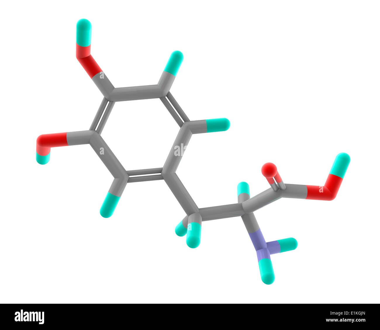 La lévodopa (L-DOPA) Parkinson modèle moléculaire de drogues L-DOPA est un précurseur de la neurotransmetteurs catécholamines Banque D'Images