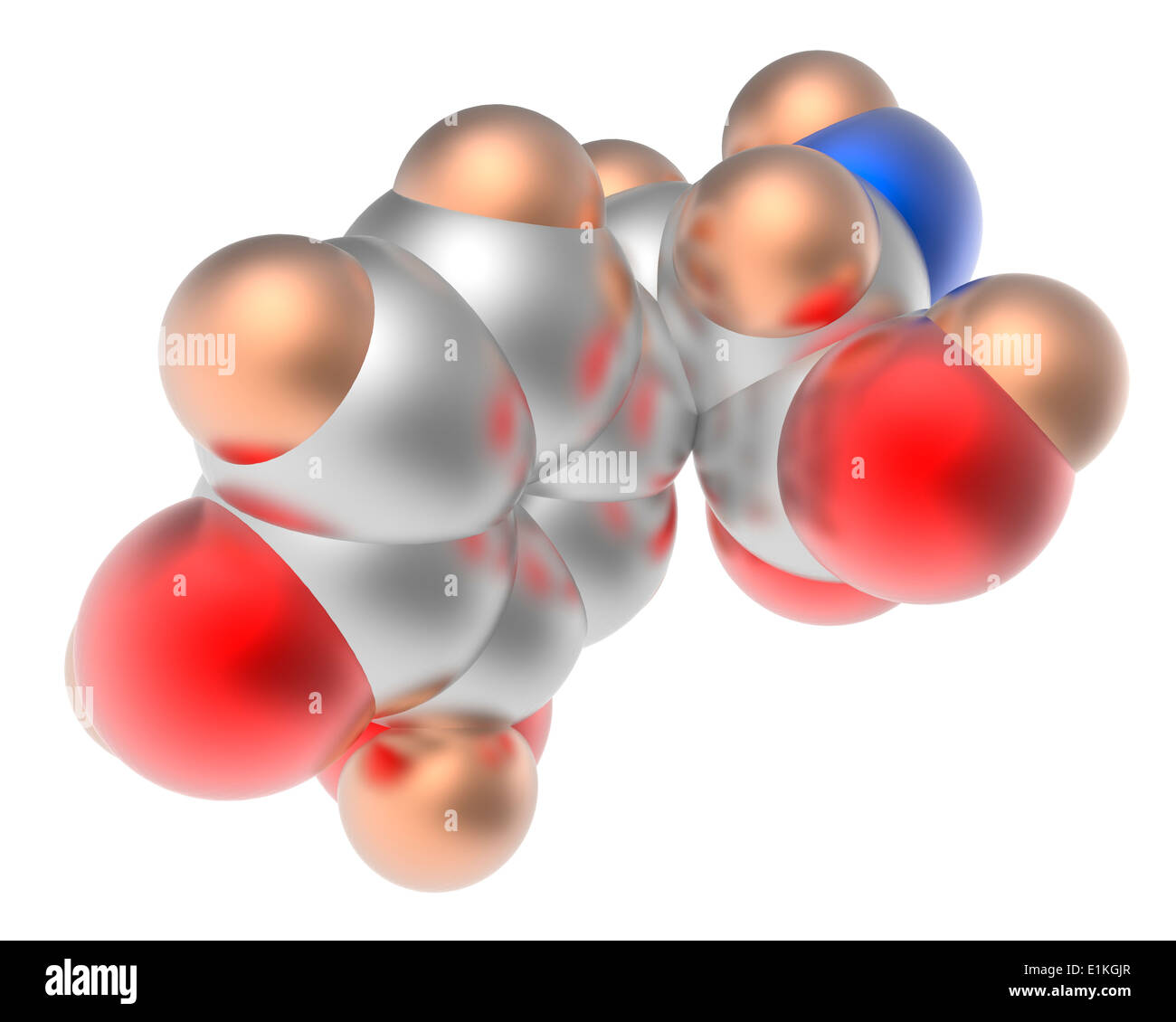 La lévodopa (L-DOPA) Parkinson modèle moléculaire de drogues L-DOPA est un précurseur de la neurotransmetteurs catécholamines Banque D'Images