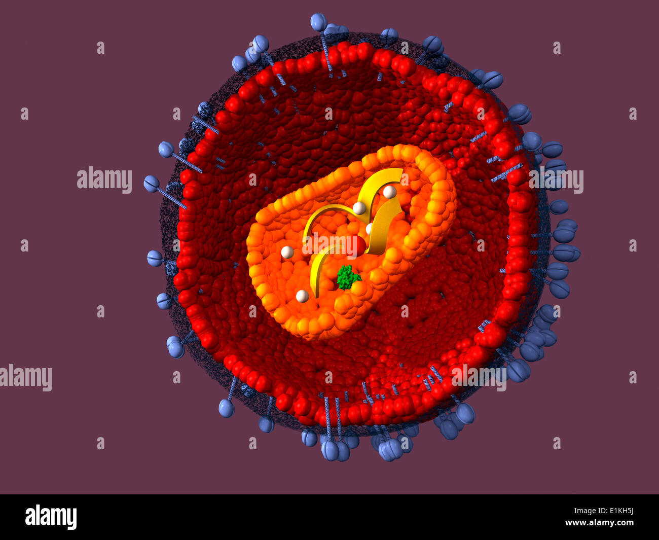 Œuvres de la SIDA (syndrome d'immunodéficience acquise) virus. Banque D'Images