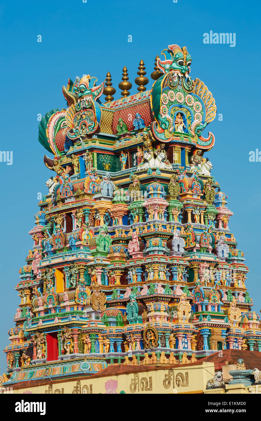 L'Inde, le Tamil Nadu, Madurai, Sri Meenakshi temple Banque D'Images