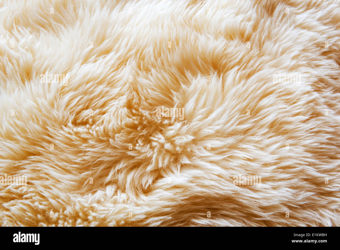La texture de la laine luxueux d'un tapis en peau de mouton blanc Banque D'Images